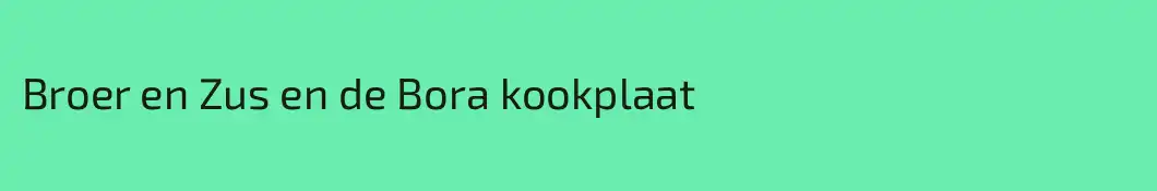 Broer en Zus en de Bora kookplaat